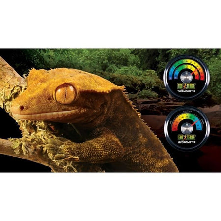 Igrometro analogico per terrario - EXO TERRA