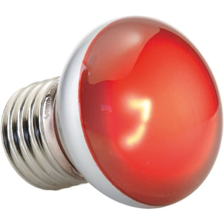 Lampada per terrario - Exo Terra - Basking Spot Nano 25W - Bianco - Illuminazione - Rettile