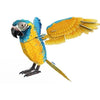 Puzzle 3D - Pappagallo - Gioco di costruzioni - EXPLORA - Uccello - 94 pezzi - Da 8 anni in su