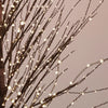 Albero di natale Sparkly con 1480 microled luce calda decorazione da esterno h 210 cm
