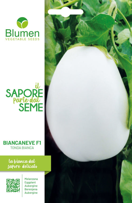 Melanzana Biancaneve F1 Tonda Bianca