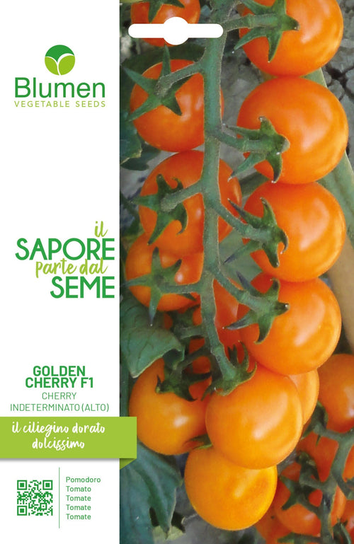 Pomodoro Golden Cherry F1 Cherry Indeterminato Alto