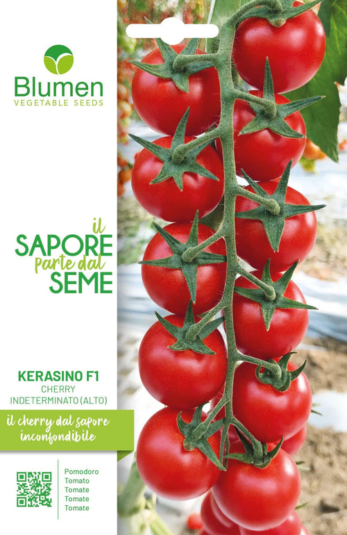 Pomodoro Kerasino F1 Cherry Indeterminato Alto
