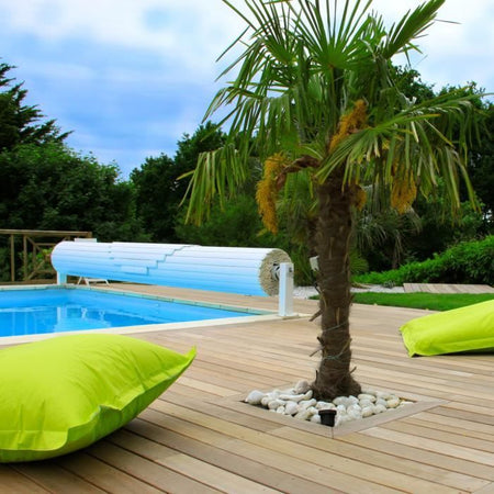 PACCHETTO FARTOOLS GRANDE RISTRUTTURATORE A PIEDE PER SUPERFICIE TERRENO + 2 SPAZZOLE IN FILO DI OTTONE + 2 SPAZZOLE ABRASIVE A LAMA