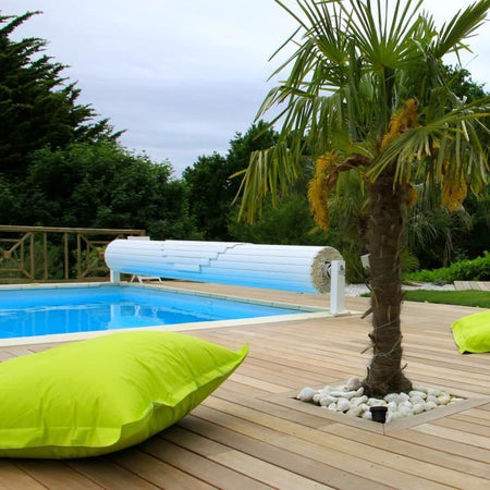 FARTOOLS Pack 615125: Renovator REX120C + spazzola flap e spazzola in fibra sintetica - Legno speciale e metallo - Superfici piane