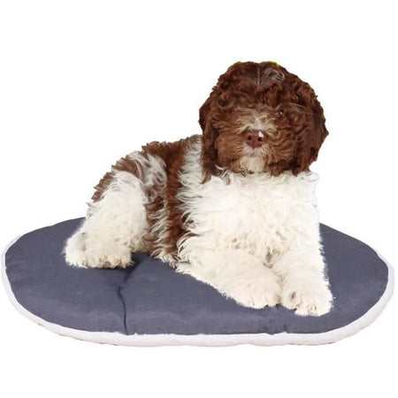 Cuscino - FERPLAST - RELAX 78/8 - 78 x 50 cm - Tessuto e pelliccia