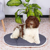 Cuscino - FERPLAST - RELAX 78/8 - 78 x 50 cm - Tessuto e pelliccia