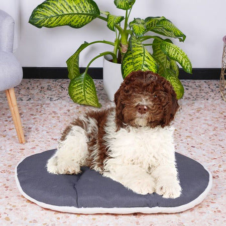 Cuscino - FERPLAST - RELAX 78/8 - 78 x 50 cm - Tessuto e pelliccia