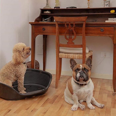 Pattumiera Siesta Deluxe in plastica taglia 6 nera