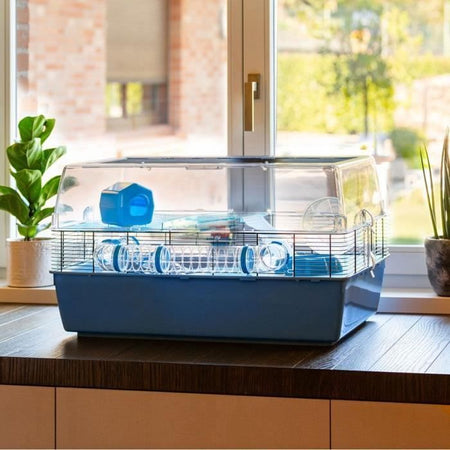 Gabbia - FERPLAST - DUNA FUN LARGE - 3 livelli - 71,5 x 46 x 41 cm - Blu