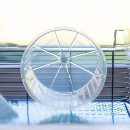 Gabbia - FERPLAST - DUNA FUN LARGE - 3 livelli - 71,5 x 46 x 41 cm - Blu