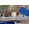 FERPLAST Cage Barn 80-78 x 48 x 65 cm - Grigio - Per coniglio