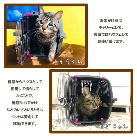 Cestino da trasporto per gatti e cani di piccola taglia JET 10 - Plastica - FERPLAST