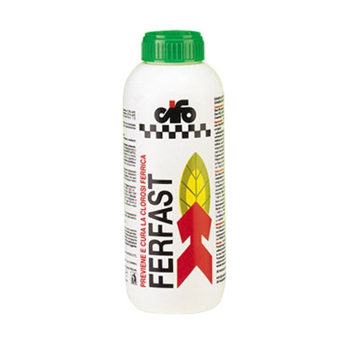 Ferfast Lt.1
