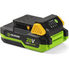 Batteria - FIELDMANN - 20V - 2Ah