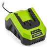 Caricabatterie - FIELDMANN - Per batteria da 20 V - Carica 2 Ah in 60 min - Compatibile con 2 Ah, 4 Ah