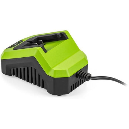 Caricabatterie - FIELDMANN - Per batteria da 20 V - Carica 2 Ah in 60 min - Compatibile con 2 Ah, 4 Ah