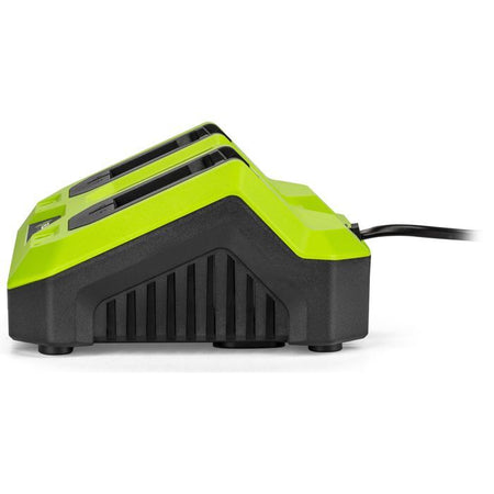 Caricabatterie doppio - FIELDMANN - Per batterie da 20 V - Carica 2 Ah in 60 min - Compatibile con 2 Ah, 4 Ah