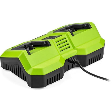 Caricabatterie doppio - FIELDMANN - Per batterie da 20 V - Carica 2 Ah in 60 min - Compatibile con 2 Ah, 4 Ah