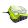 Caricabatterie rapido - FIELDMANN - Per batteria da 20 V - Carica 2 Ah in 30 min - Compatibile con 2 Ah, 4 Ah, 8 Ah