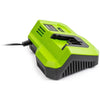 Caricabatterie rapido - FIELDMANN - Per batteria da 20 V - Carica 2 Ah in 30 min - Compatibile con 2 Ah, 4 Ah, 8 Ah