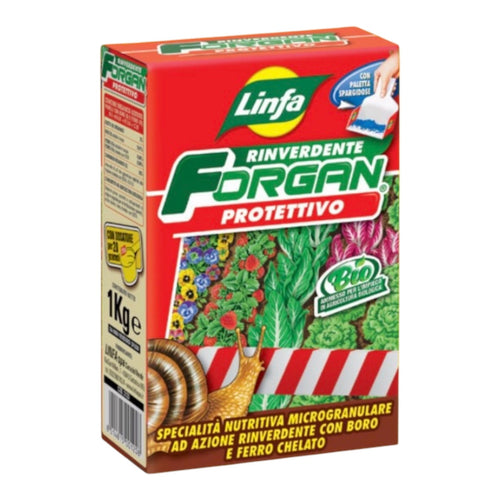 Forgan Kg 1 Specialità Nutritiva Microgranulare ad Azione Rinverdente con Boro e Ferro Chelato Linfa
