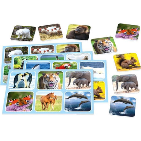 Zoo Lotto - SCHMIDT SPIELE