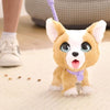 Gioco interattivo - FURREAL FRIENDS - My Popo Friend 23 cm - Animale interattivo con guinzaglio, dolcetti e pala