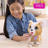Gioco interattivo - FURREAL FRIENDS - My Popo Friend 23 cm - Animale interattivo con guinzaglio, dolcetti e pala