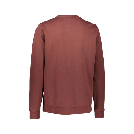 Felpa Bear Crew Neck Small Logo andorra
