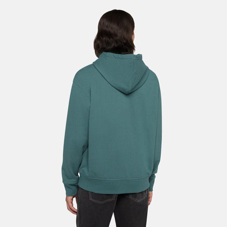 Felpa Dickies Clancy Heavyweight wood lincoln green