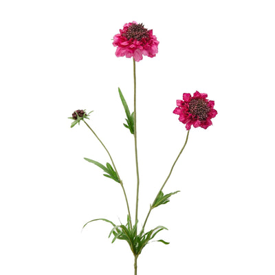 Fiore artificiale Scabiosa Rex h 65 cm effetto realistico con stelo e foglie verdi