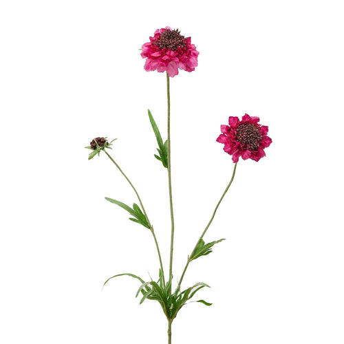 Fiore artificiale Scabiosa Rex h 65 cm effetto realistico con stelo e foglie verdi