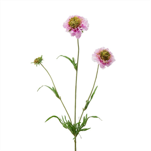 Fiore artificiale Scabiosa Rex h 65 cm effetto realistico con stelo e foglie verdi