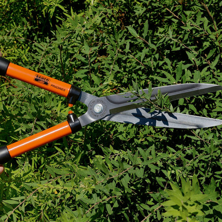 Forbicione professionale per siepe con lama retta manico in alluminio da 58 cm