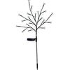 Arbusto a fioritura solare - GALIX - G4505 - H72