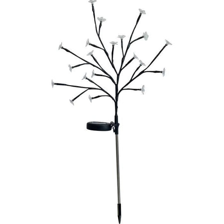 Arbusto a fioritura solare - GALIX - G4505 - H72