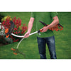 Cup 35 centimetri Borders - 900W