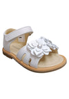 Scarpe sandalo Bambine balocchi PARIS