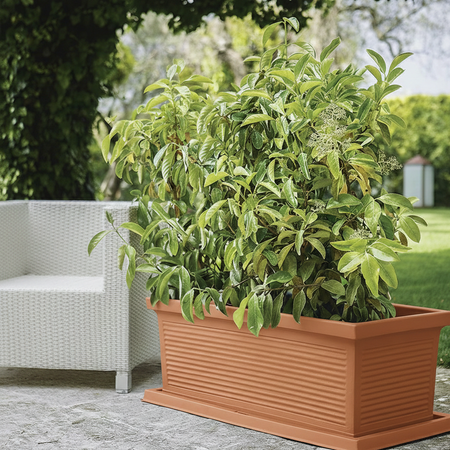 Fioriera Millerighe rettangolare in resina decorazione per fiori e piante Made in Italy