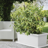 Fioriera Millerighe rettangolare in resina decorazione per fiori e piante Made in Italy