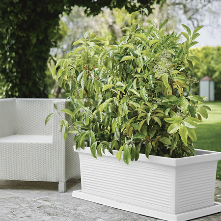 Fioriera Millerighe rettangolare in resina decorazione per fiori e piante Made in Italy