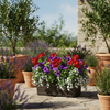Balconiera Millerighe rettangolare in resina decorazione per fiori e piante Made in Italy