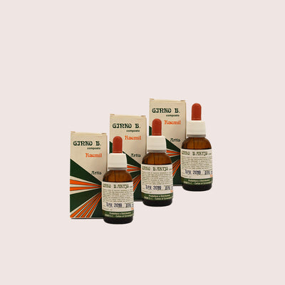 Raemil Artis Ginko B. Multipack 3x25 ml