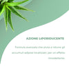 Crema Snellente Anticellulite - Effetto Tonificante e Rassodante con Sensazione di Freschezza | Formula Drenante per Gambe, Glutei e Addome | AdipoZero - Texture Leggera e Facile da Applicare 200ml