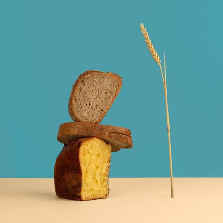 H.KoeNIG BAKE340 - Macchina per il pane con semi - 12 programmi - 3 livelli di cottura - 550W - 2 formati: 650 o 800g - Schermo LCD