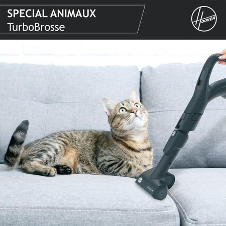 Aspirapolvere a bidone senza sacco - HOOVER - HP720PET - 850 W - 68 dBA - Cassetta 2 L - Speciale per parquet e animali