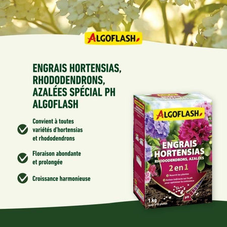 Fertilizzanti Hyesiah, rododendri e azalea - algoflash naturasol - pH Special - 1 kg