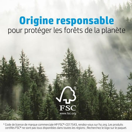 HP - Carta fotografica lucida HP Advanced - 250 g/m2, 4 x 12 pollici (101 x 305 mm) - 10 fogli