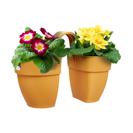 Elho Vibia Campana Flower Twin 21 - Fioriera per Balcone esterno - 20.5 x H 26.5 cm - Nero/Anthracite Elho Vibia Campana Flower Twin 21 - Fioriera per Balcone esterno - 20.5 x H 26.5 cm - Nero/Anthracite